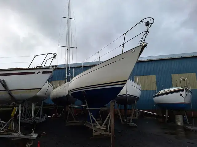 Contessa 32