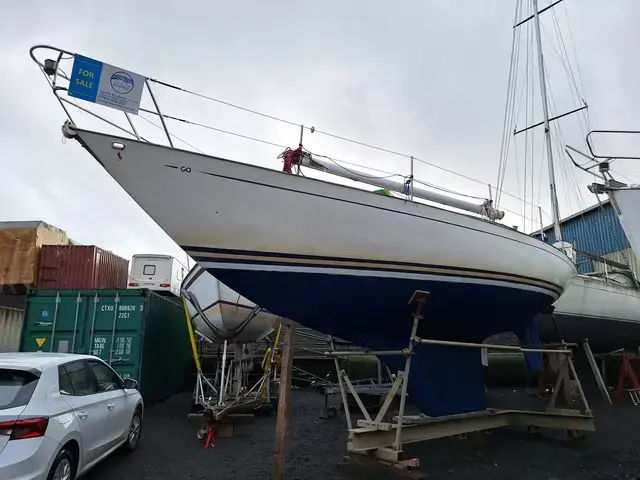 Contessa 32