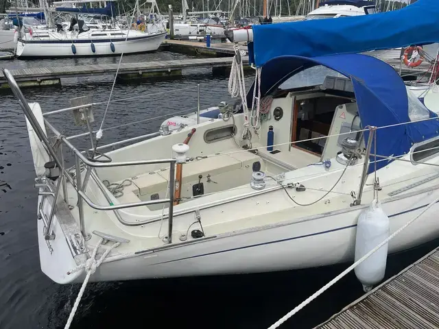 Contessa 32