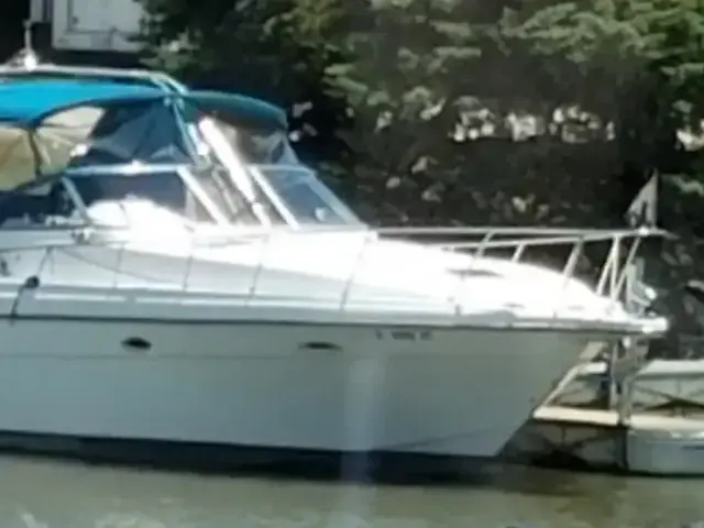 Rinker 300 Fiesta Vee