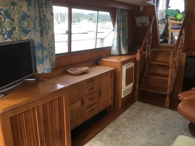 Trader 58 Sunliner