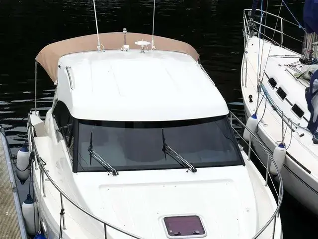 Rodman 31 SPIRIT