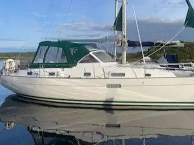 Beneteau Oceanis 36 Cc