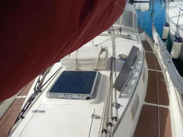 Freedom 35 Cat Ketch