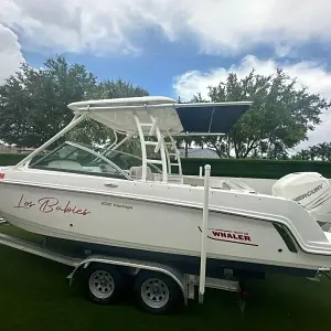 2020 Boston Whaler 230 Vantage