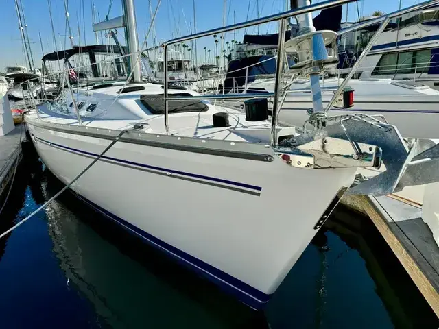 Catalina 40