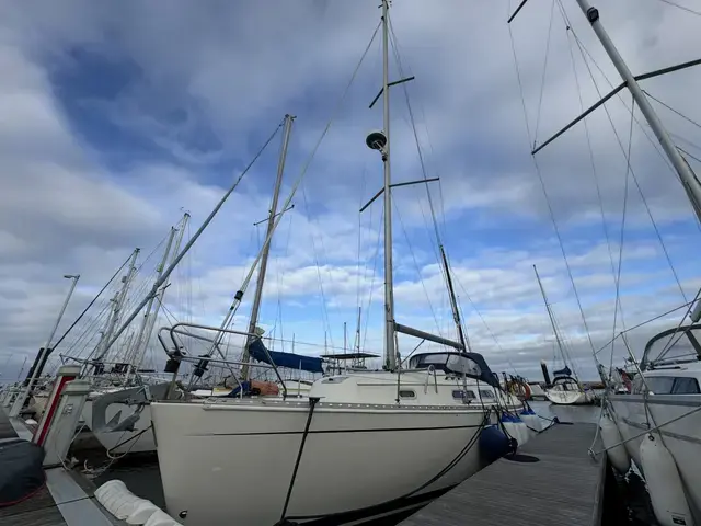 Hanse 311