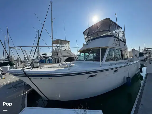 Hatteras 38 Double Cabin