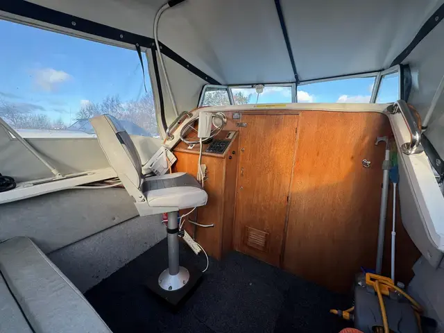 Viking 20