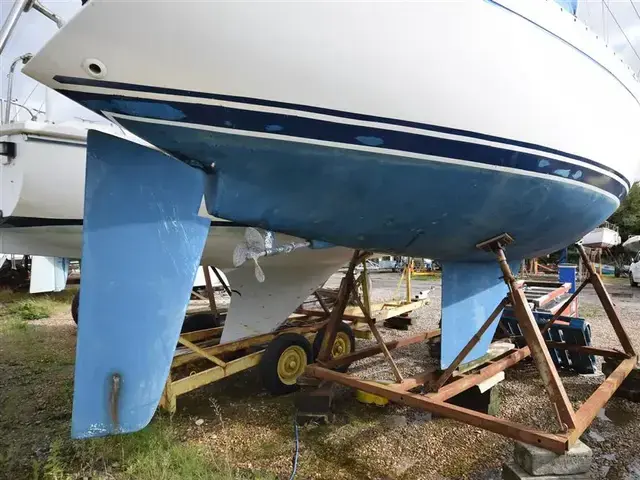 Contessa 28