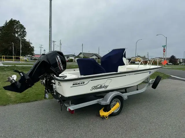 Boston Whaler 150 Montauk