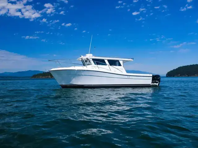 Ocean Sport Roamer 30 OB