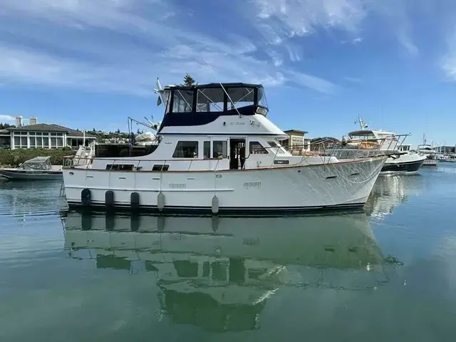 Ocean Alexander 43