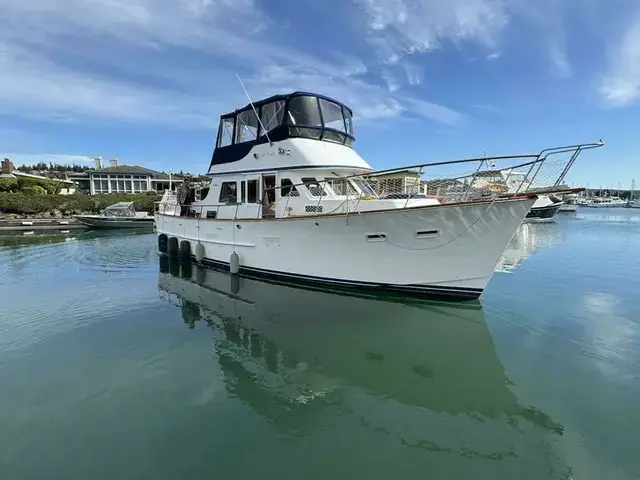 Ocean Alexander 43