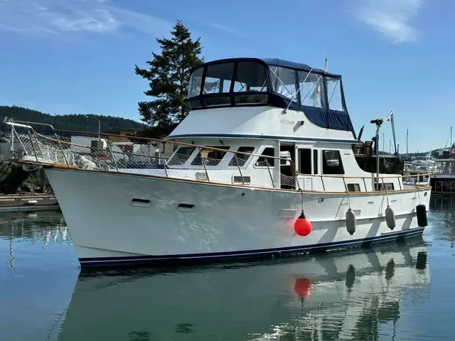 Ocean Alexander 43