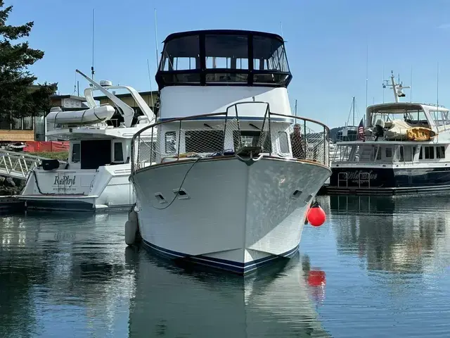 Ocean Alexander 43