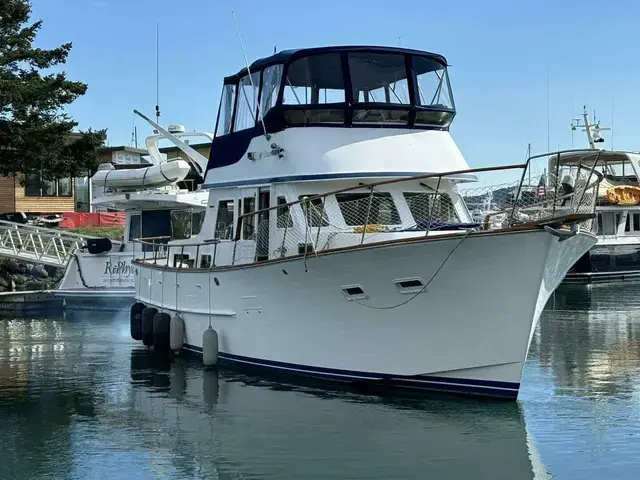 Ocean Alexander 43