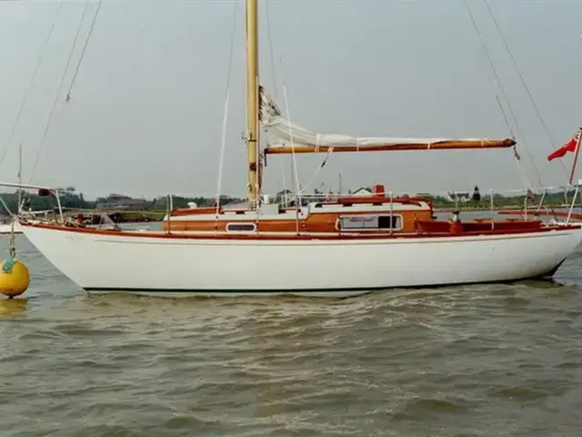 Twister 28