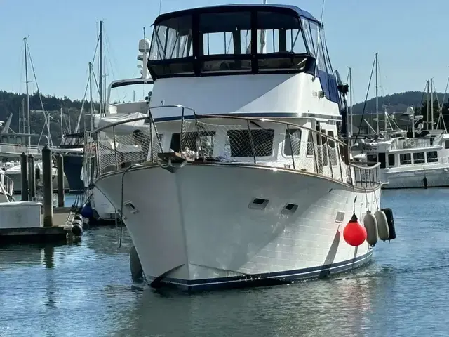 Ocean Alexander 43