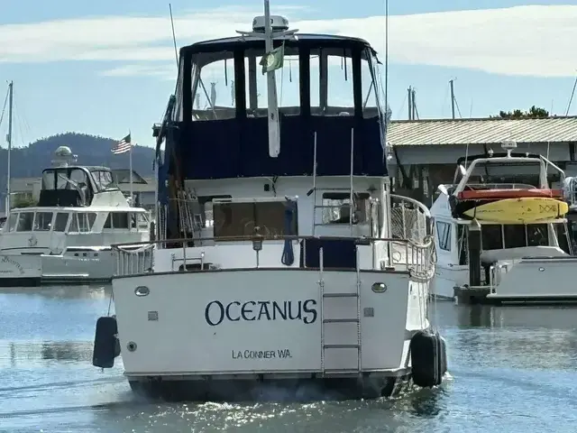 Ocean Alexander 43