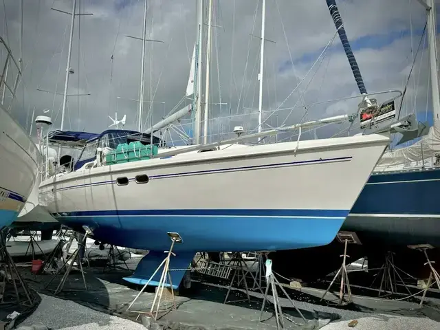 Catalina 387