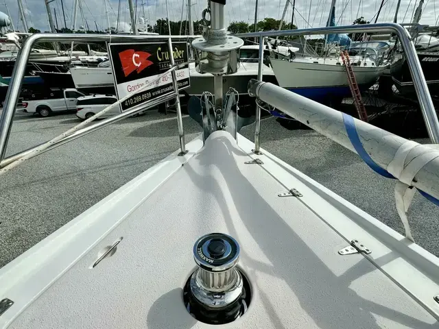 Catalina 387