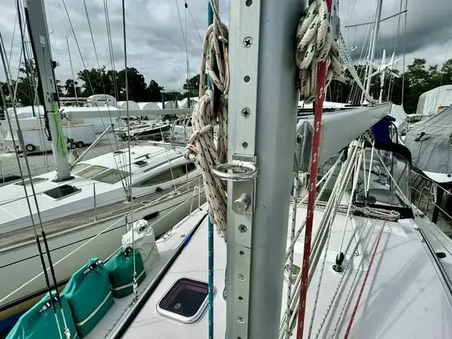 Catalina 387