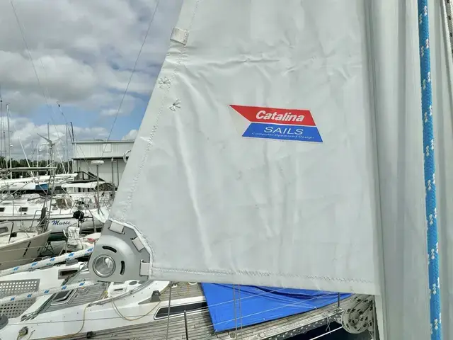 Catalina 387