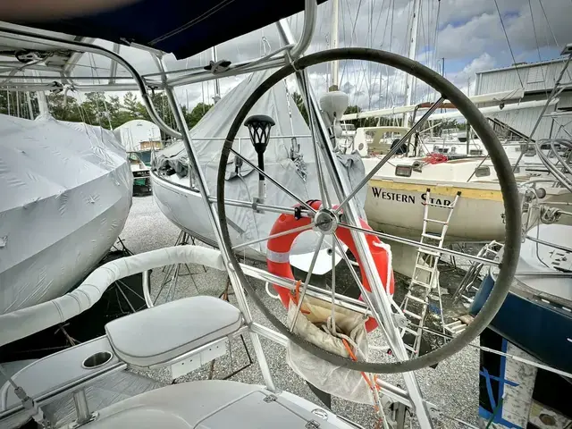 Catalina 387