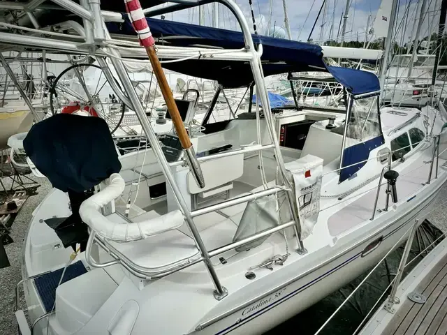 Catalina 387