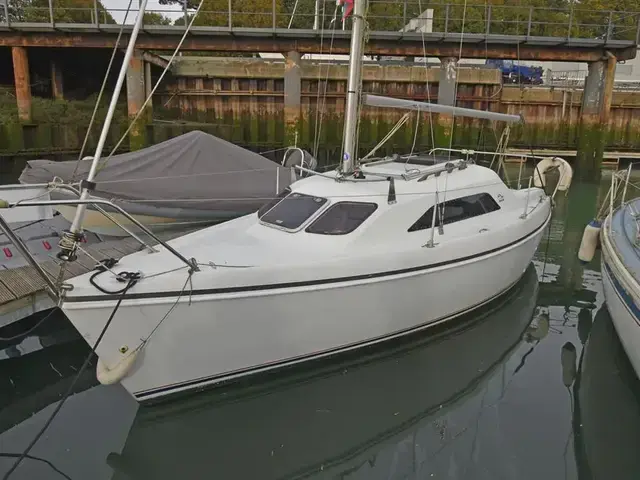 Hunter Ranger 245