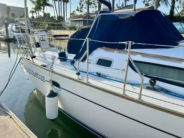 Jeanneau Sun Odyssey 35