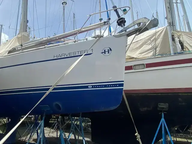 Harmony 42