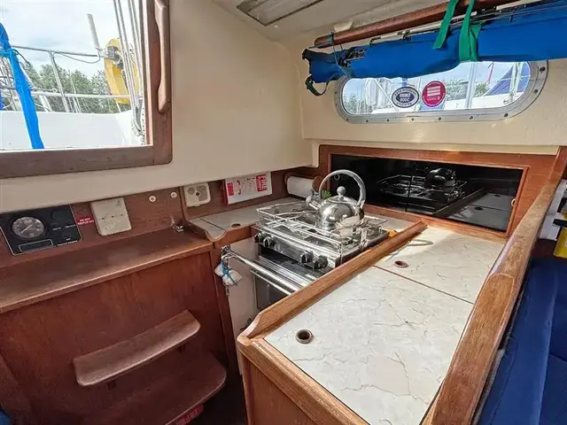 Contessa 32