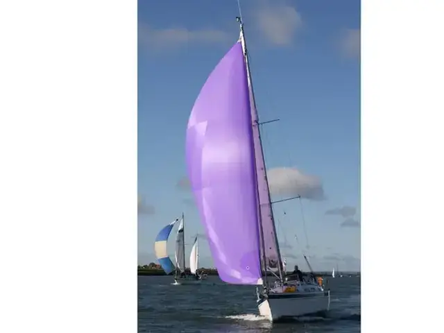 Hallberg Rassy 310