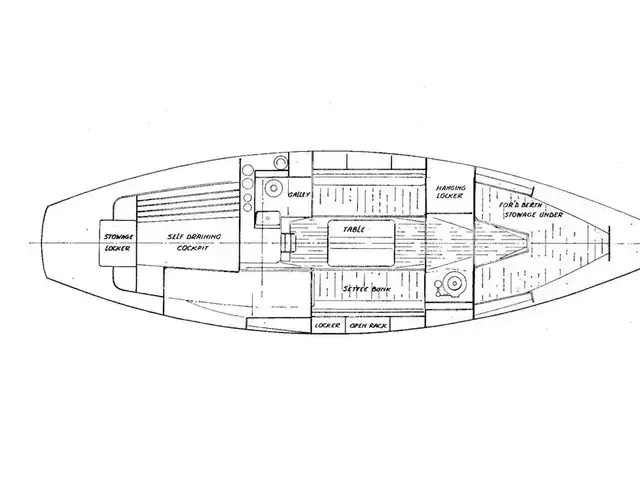 Trintella 29