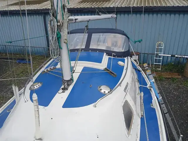 Sailfish 25