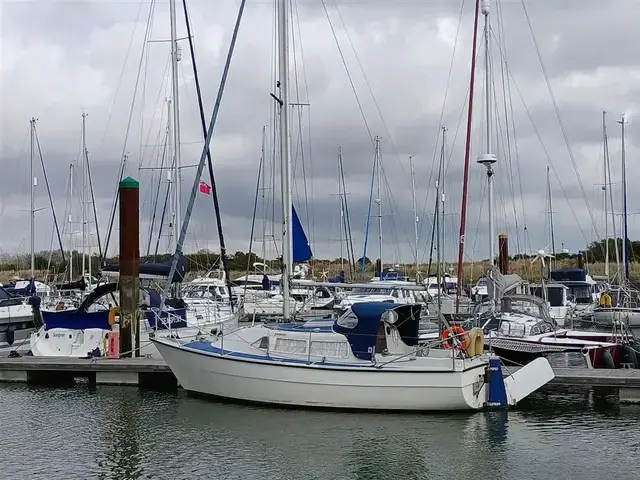 Sailfish 25