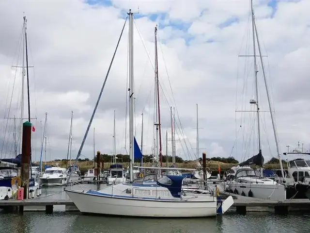 Sailfish 25