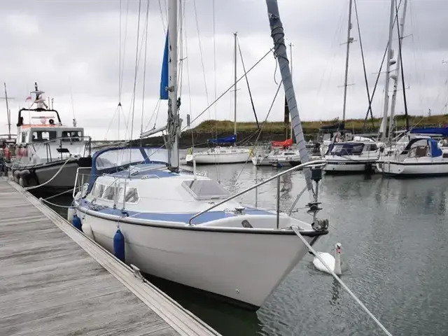 Sailfish 25