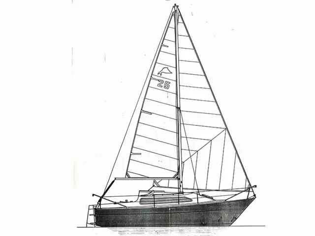 Sailfish 25