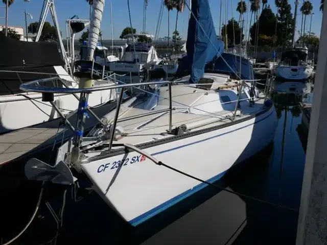 Catalina 38