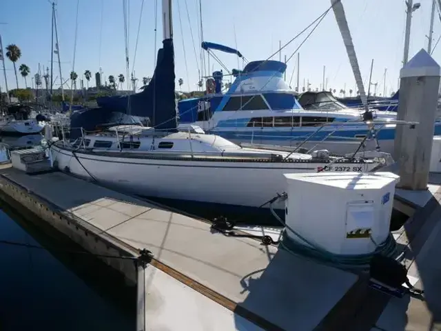 Catalina 38