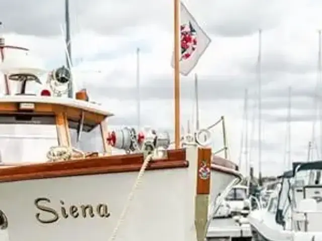 Custom SIENA