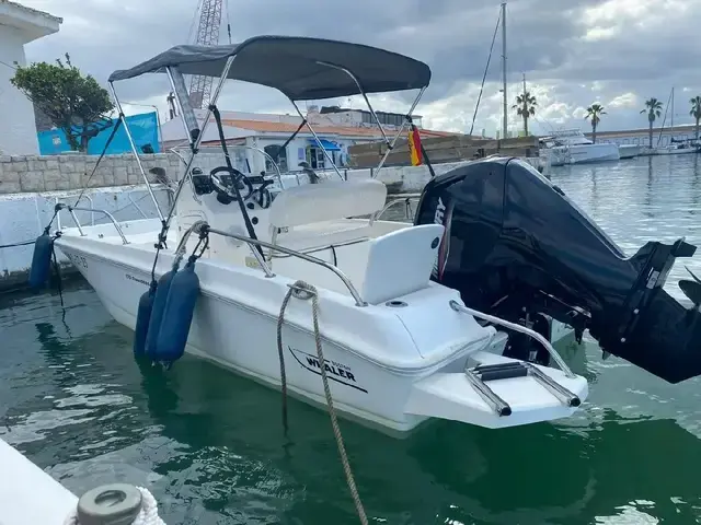 Boston Whaler 170 Dauntless