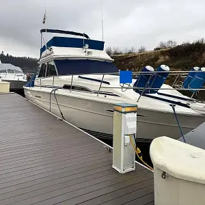 1985 Sea Ray 390 sportfisher