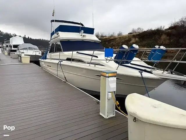 Sea Ray 390 sportfisher