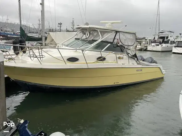 Wellcraft 290 Coastal