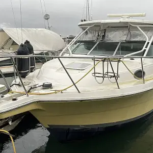 2006 Wellcraft 290 Coastal