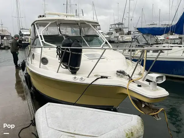 Wellcraft 290 Coastal